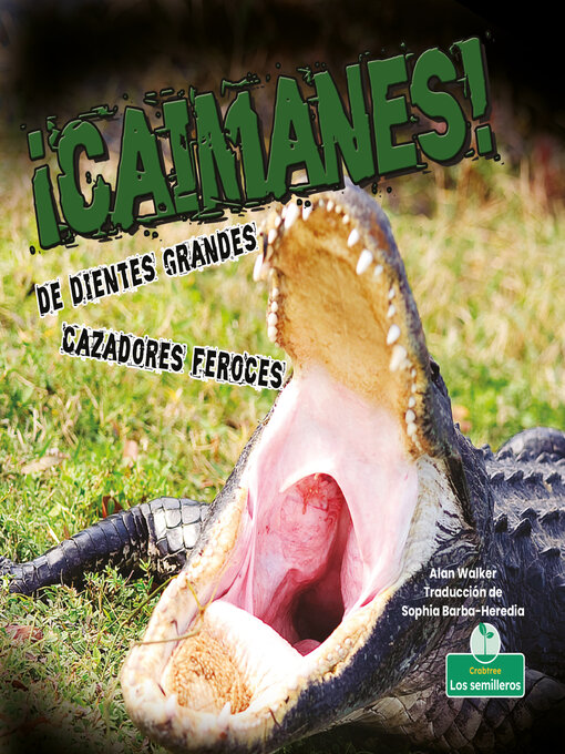 Title details for ¡Caimanes! De dientes grandes. Cazadores feroces (Alligators! Big Teeth, Fierce Hunters) by Alan Walker - Available